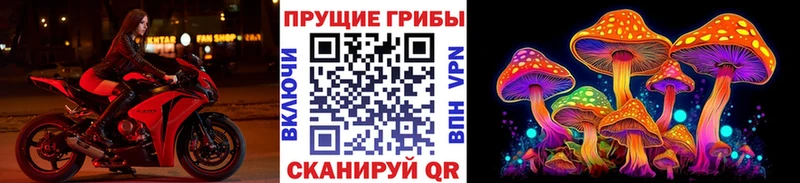 где продают наркотики  Талдом  Псилоцибиновые грибы мухоморы 