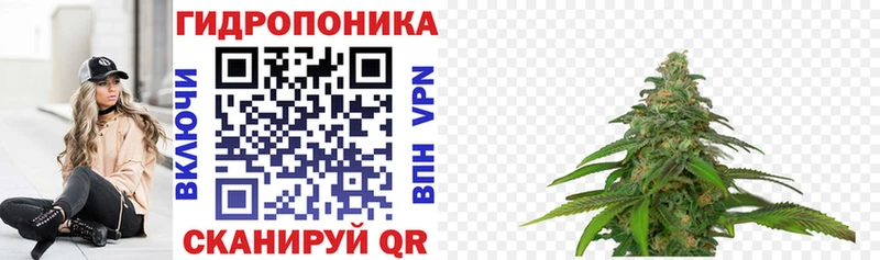 Марихуана OG Kush  Талдом 